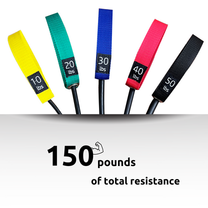 Photo of 5 resistance bands with the weights on the bands showing that the total resistance of the workout bands is 150 pounds. 